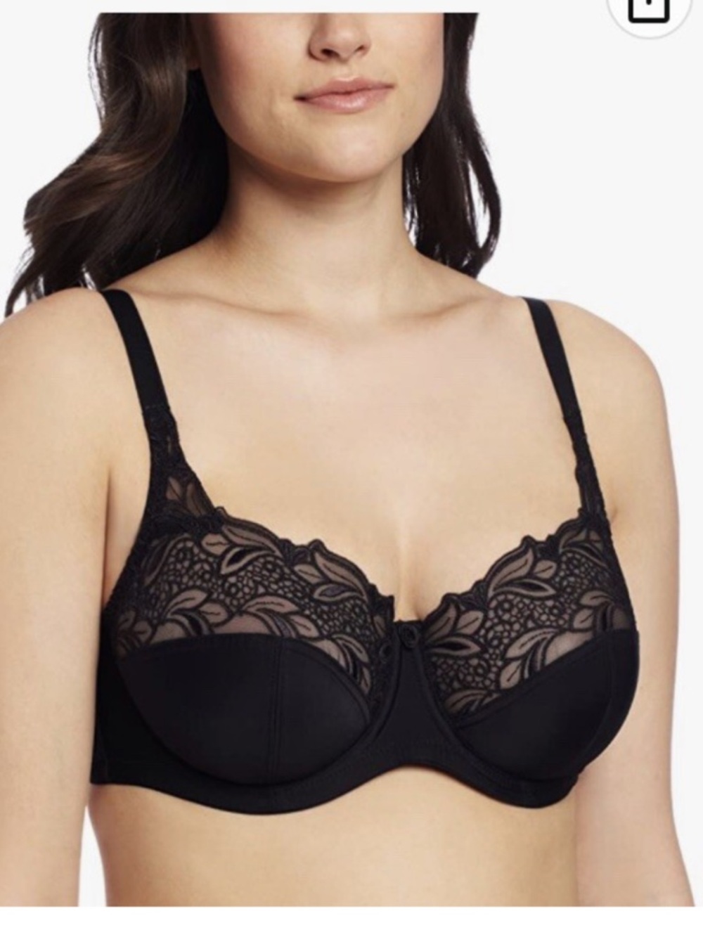 Panache Black Lace Underwire Bra with Sheer Lace Cups